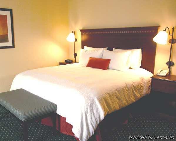 Hampton Inn Gadsden/Attalla Interstate 59 Kamer foto